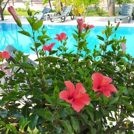 Garden 호텔 *
