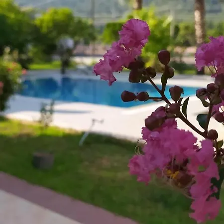 Garden Кемер