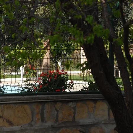 Отель Garden