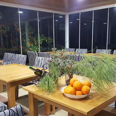 Garden *